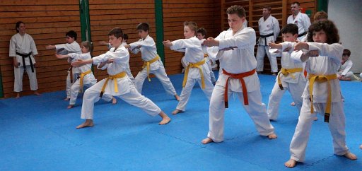 DSC03560 (Large).JPG